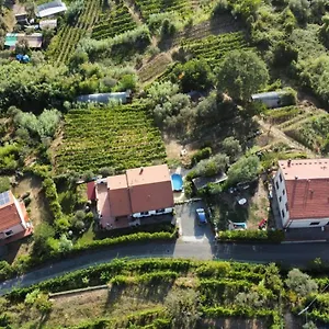 In Vino Veritas Bed & Breakfast